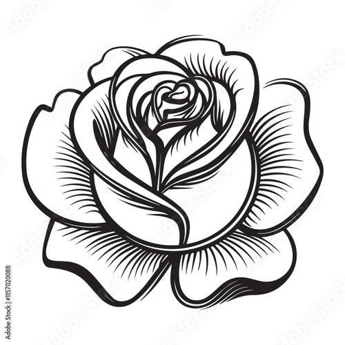 Hand drawn simple   rose flower outline on white background