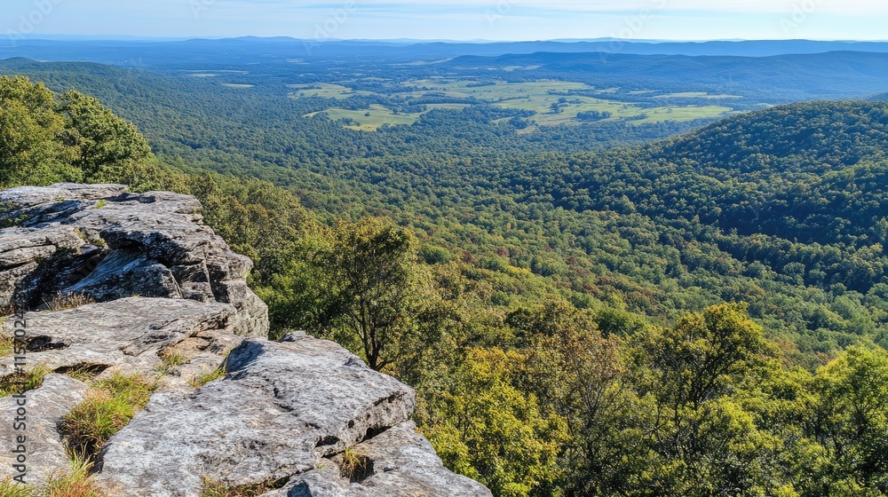 Scenic Overlook of Lush Green Valley with Rocky Outcrop on Mount and Skyline Trail Scenic Overlook of Lush Green Valley with Rocky Outcrop on Mount and Skyline Trail