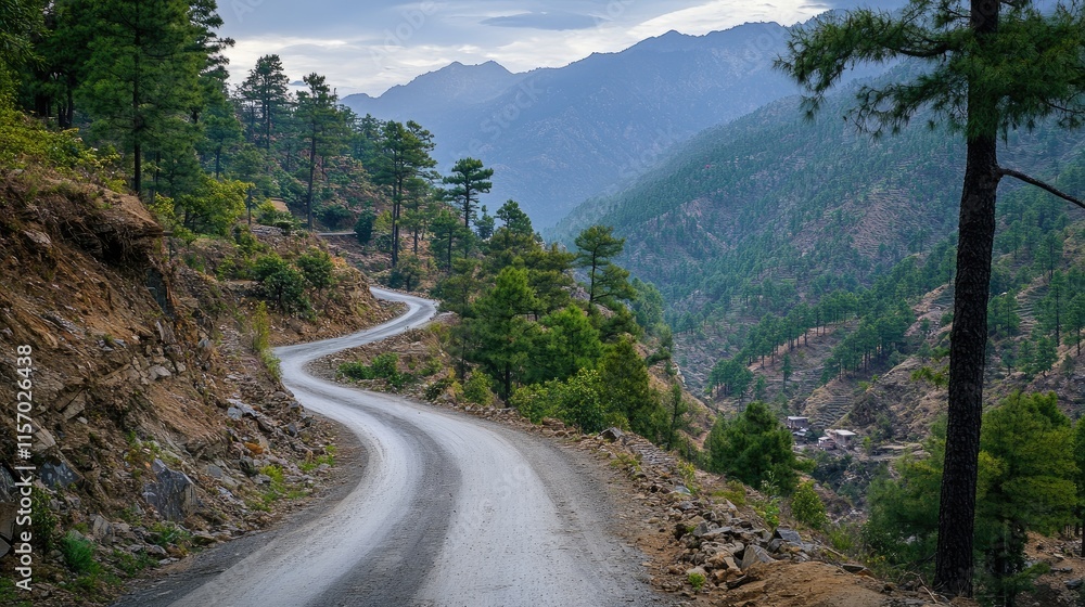 Winding mountain road through lush pine forest showcasing stunning landscape and serene beauty in a rural setting