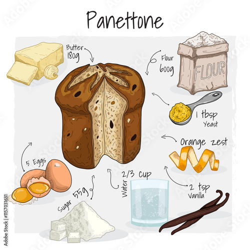Panettone Pastry Illustration Recipe Dessert with Ingredients