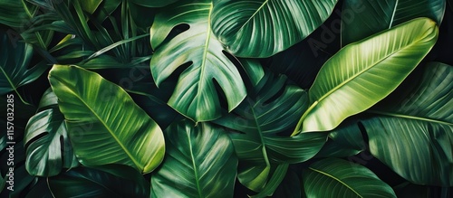 Lush tropical leaves creating a vibrant atmosphere in modern interior design for elegant living spaces photo