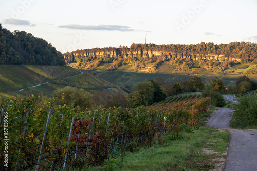 Panoramic view of terraced vineyards around Nittel, Rhineland-Palatinate, Germany and views across Moselle River on vineyard hills of Luxembourg near Grevenmacher photo