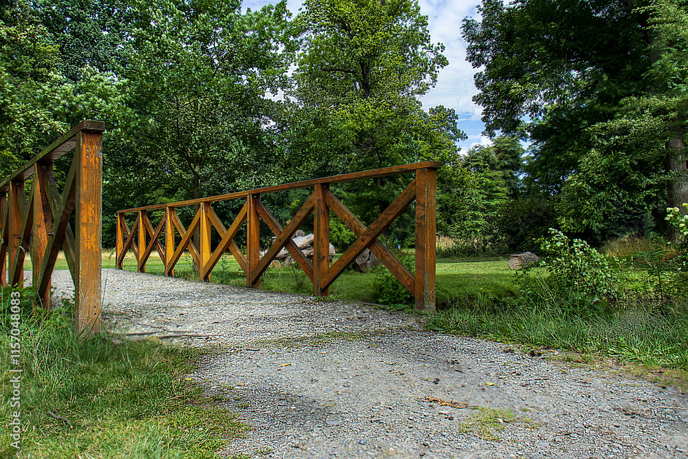 Wooden bridge in the park. Sidewalk. Park with trees and wooden bridge. Walk, activities in nature. Wooden bridge in the park. Sidewalk. Park with trees and wooden bridge. Walk, activities in nature.