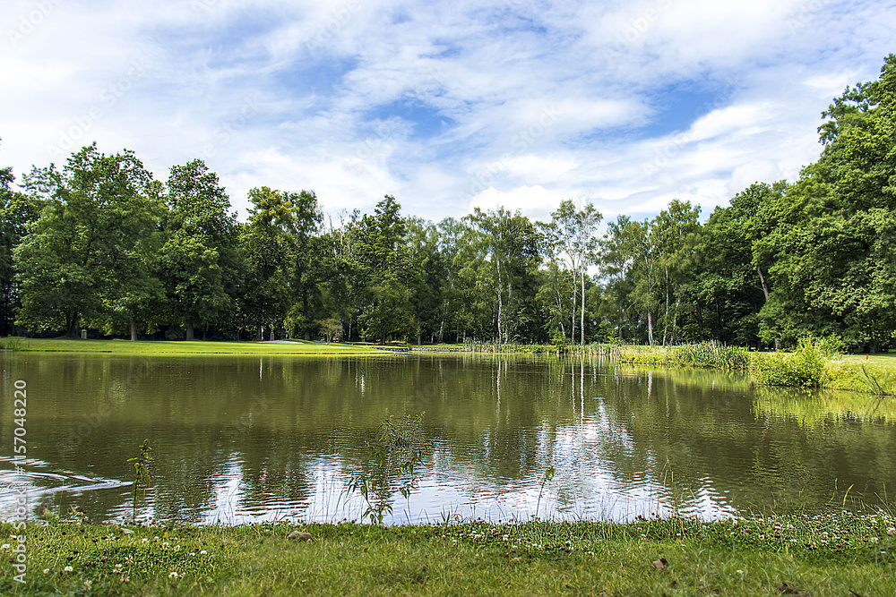 Obraz premium Park with trees and lake. A beautiful park on a sunny summer day. Blue sky with white clouds. Lake, trees on the shore around the lake.