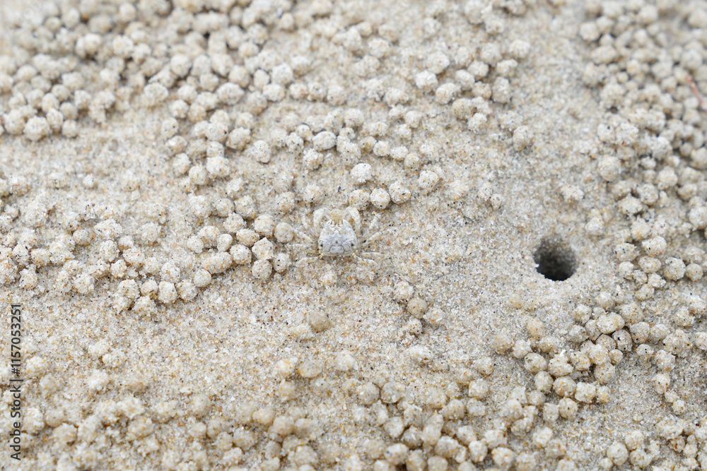 Sandy beach image at Hua Hin District, Prachuap Khiri Khan Province, Thailand for background. Sandy beach image at Hua Hin District, Prachuap Khiri Khan Province, Thailand for background.