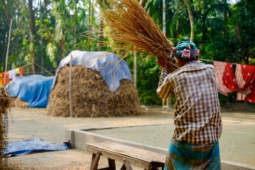 South asian rural farmer threshing dried crops on a wooden table 
