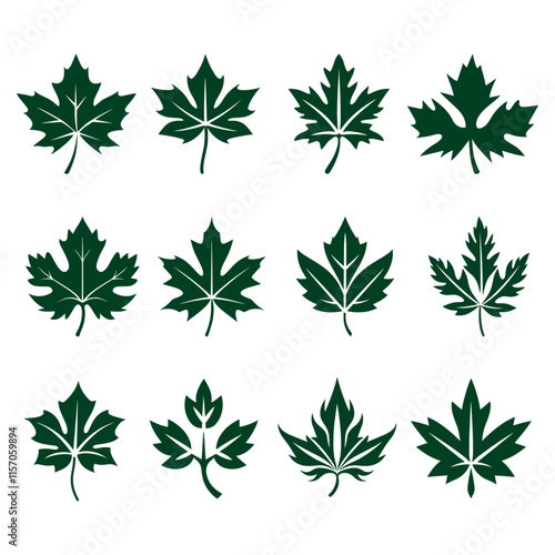 Leaves, Set of Leaves, Silhouettes of Leaves