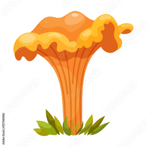 Cantharellus cibarius mushroom, golden chanterelle. Edible forest mushroom. Forest grass and leaves. Cartoon vector illustration on a white background.