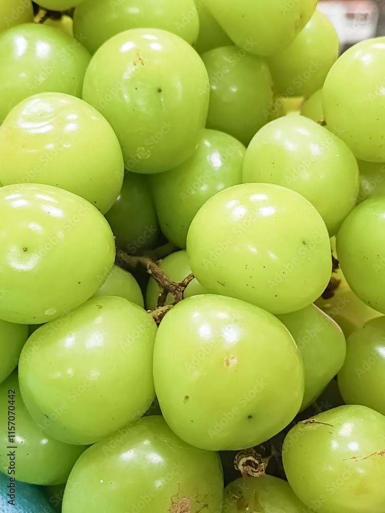 The popular Korean grape Shine Muscat on the supermarket counter. A bunch of green grapes in a package. A diploid grape variety. The popular Korean grape Shine Muscat on the supermarket counter. A bunch of green grapes in a package. A diploid grape variety.