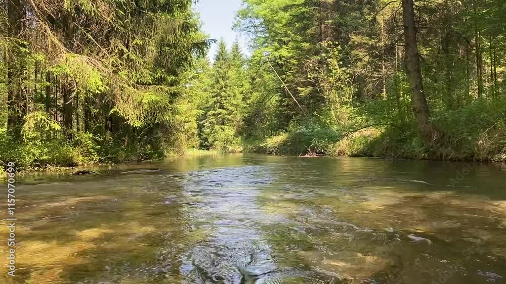 River flowing in the forest, moss covered rocks. Germany Bavaria River flowing in the forest, moss covered rocks. Germany Bavaria