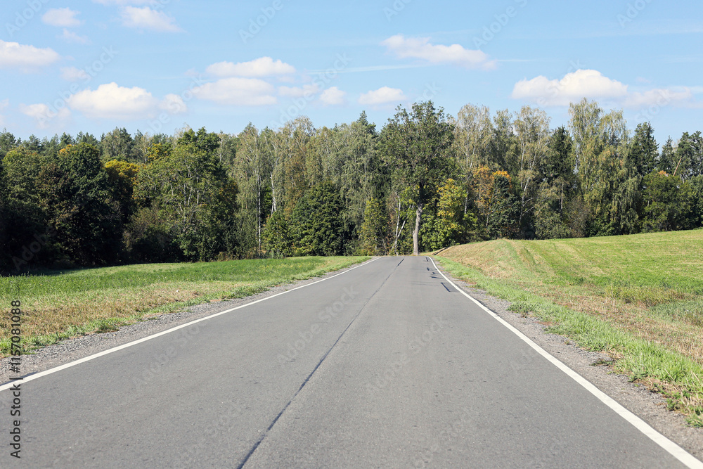 Asphalt road landscape. Road to nowhere. Empty rural route through meadow. Countryside travel. Forest in distance. Blue cloudy sky open way. Drive straight ahead background. Asphalt road landscape. Road to nowhere. Empty rural route through meadow. Countryside travel. Forest in distance. Blue cloudy sky open way. Drive straight ahead background.