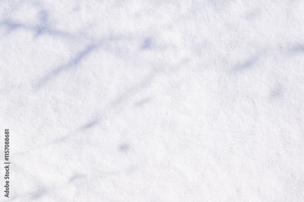 Fototapeta premium Shadows of branches on white snow surface