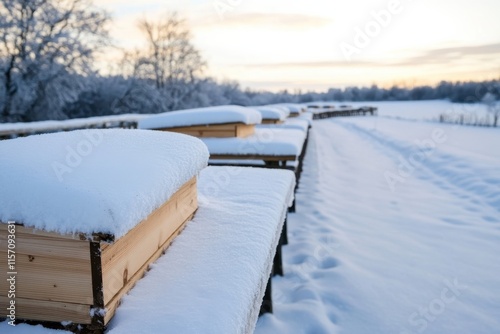 Wallpaper Mural A tranquil winter scene of beehives blanketed in snow, illustrating nature's beauty during sunset, evoking feelings of peace and solitude in a serene environment. Torontodigital.ca