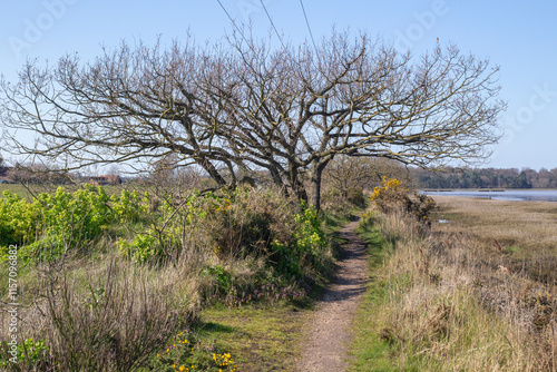 Footpath along the River Blyth, Suffolk, England, United Kingdom photo