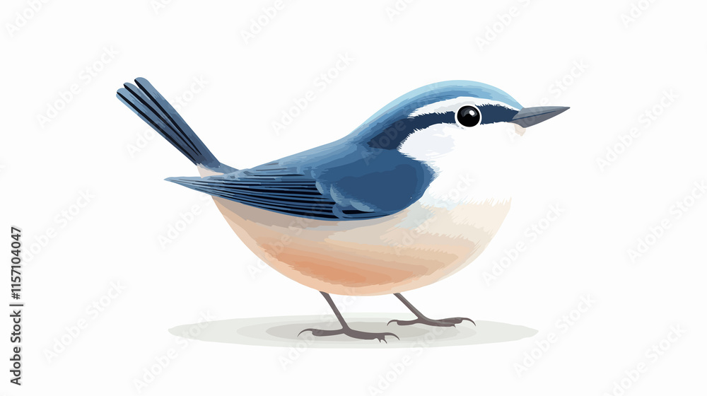White-breasted Nuthatch Bird Ball - Beautiful Nature Photography White-breasted Nuthatch Bird Ball - Beautiful Nature Photography