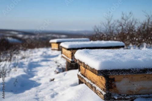Wallpaper Mural A captivating portrayal of wooden beehives enveloped in snow during a bright winter day, emphasizing the stark contrast between the warmth of the hives and the cold surroundings. Torontodigital.ca