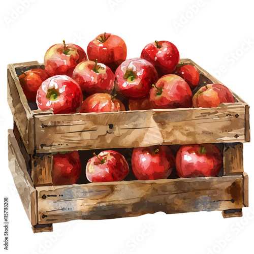 A watercolor of a wooden crate filled with vibrant fall apples, isolated on a white background. Fall apples vector.
