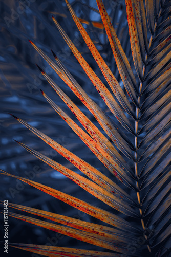 blue and yellow palm tree leaves in springtime, abstract background, tropical climate