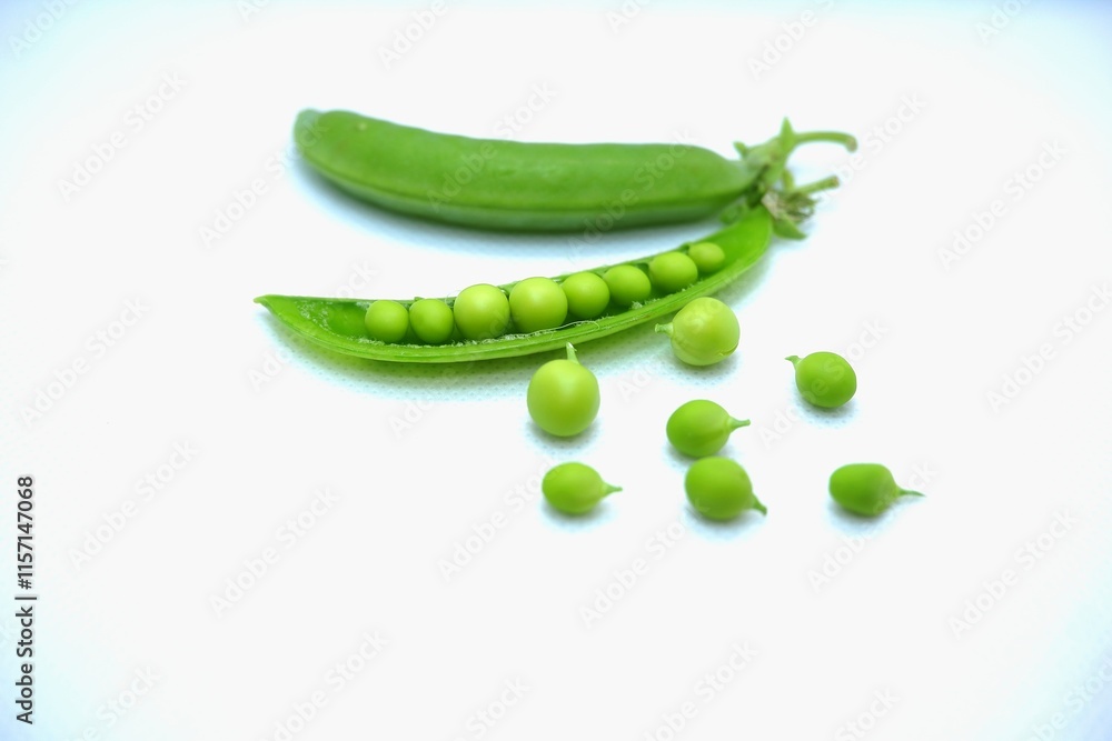 fresh green pea pod shells just picked from garden fresh green pea pod shells just picked from garden