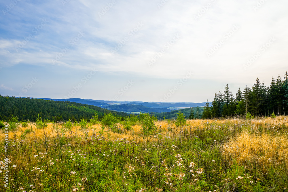 Landscape at the Loermecke tower near Meschede. Nature in the Sauerland.
Landscape at the Loermecke tower near Meschede. Nature in the Sauerland.
