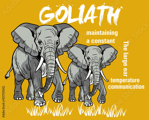 Goliath Elephent Vector Tee Shirt Design For Kids T-shirt Vector SVG File Design