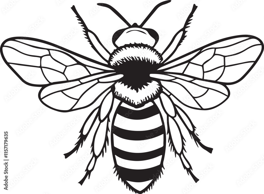 Obraz premium Black silhouette Bee icon logo for kids coloring drawing book in white background