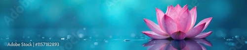 Soft focus of a pink lotus flower against a bright blue background, water, reflection, blue