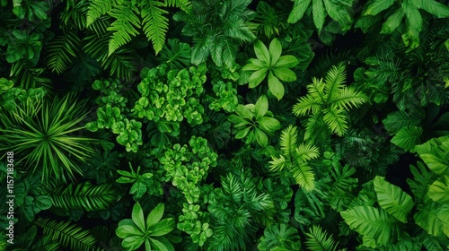 Lush Verdant Foliage Canopy in Tropical Jungle Landscape