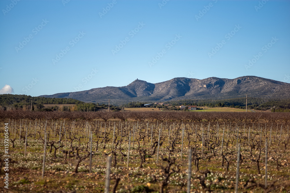 Fototapeta premium autumn in the mountains