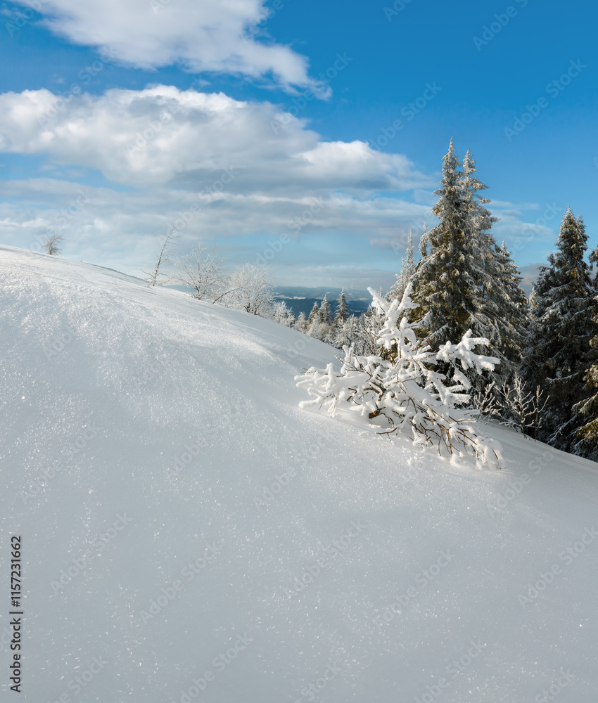 Obraz premium Winter mountain snowy landscape