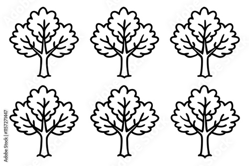 Plane Tree Line Art Bundle set