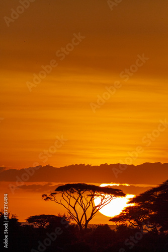 African sunrise. Amboseli, Kenya	