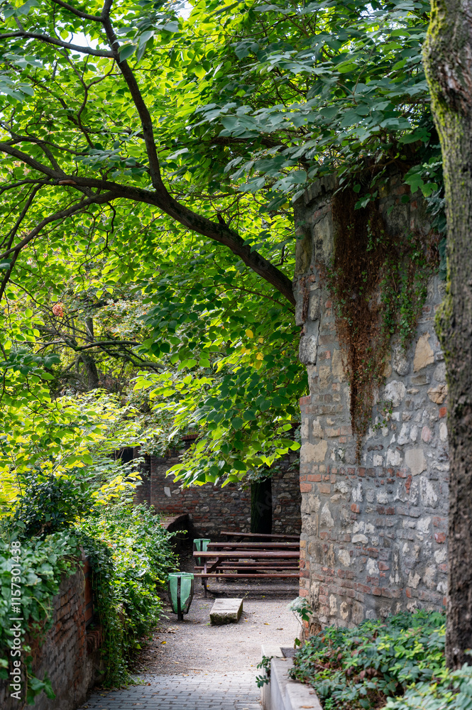 A quiet green corner with a stone wall and wooden benches under lush tree crowns. A narrow paved path leads to a quiet place to rest