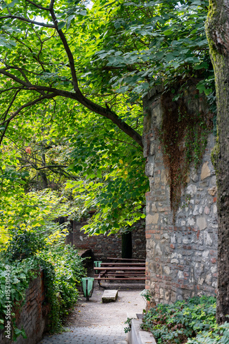A quiet green corner with a stone wall and wooden benches under lush tree crowns. A narrow paved path leads to a quiet place to rest