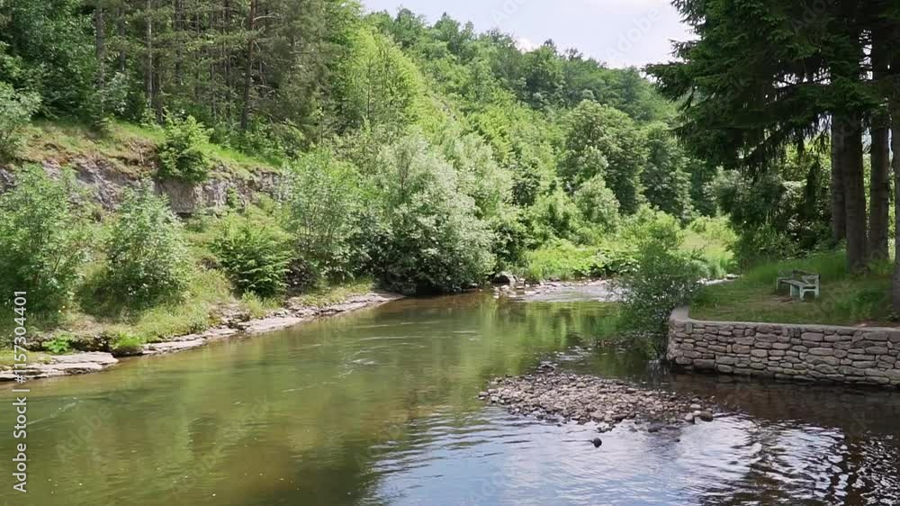 Tranquil river surrounded by lush greenery in a serene woodland setting during a sunny afternoon Tranquil river surrounded by lush greenery in a serene woodland setting during a sunny afternoon
