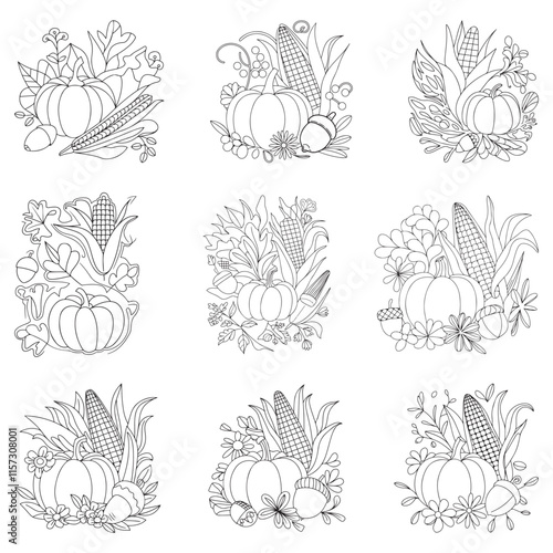 Harvest, coloring book page. Corn cobs and Pumpkins,