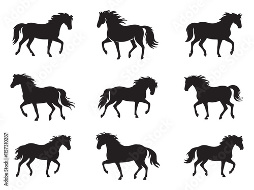 horse silhouettes set vector on white background 