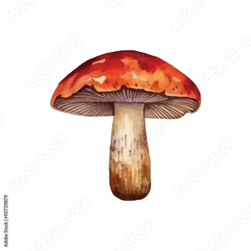 flaming mushroom plant watercolor vector illustration white background