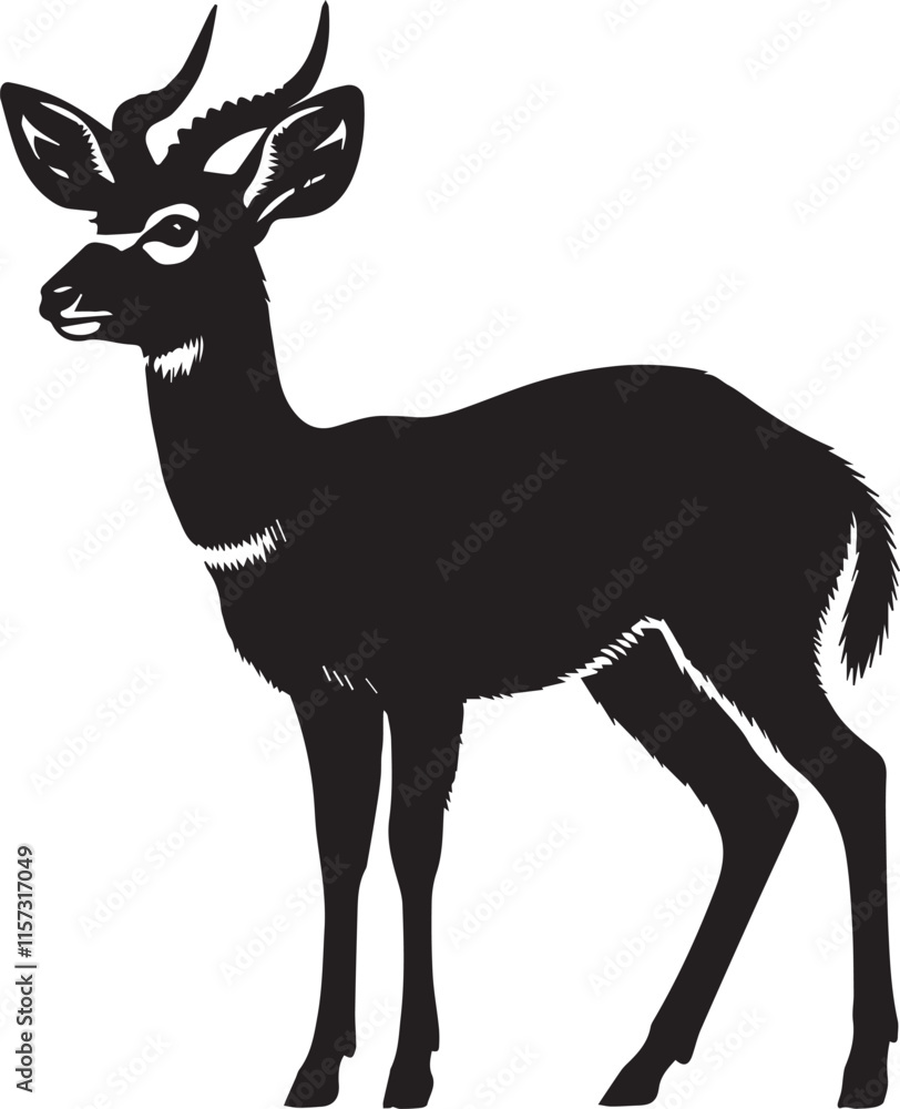 Obraz premium Silhouette of a deer