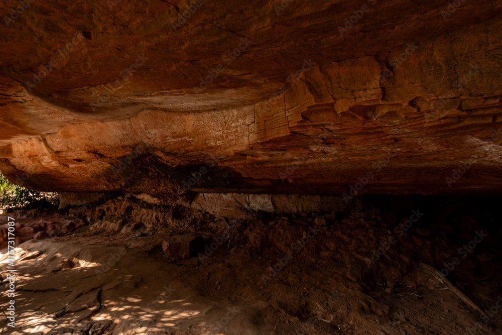 Obraz premium The Naga Cave in Bueng Kan, Thailand, features serpent-like rock formations tied to Naga mythology, attracting visitors to Phu Langka National Park for nature and spirituality
