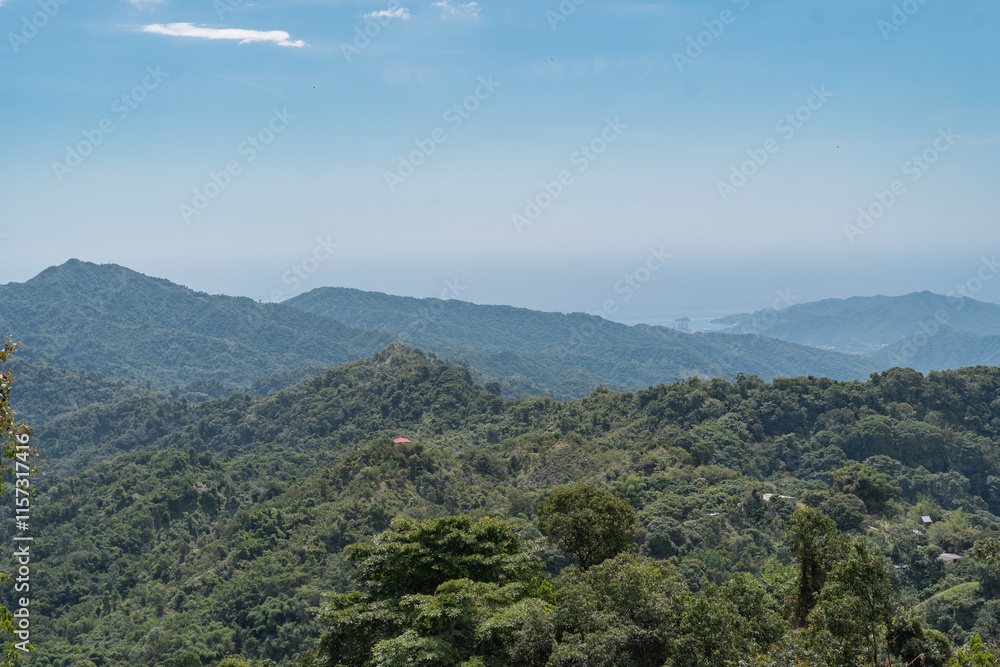 View over the landscape of hills and the jungle. View over the landscape of hills and the jungle.