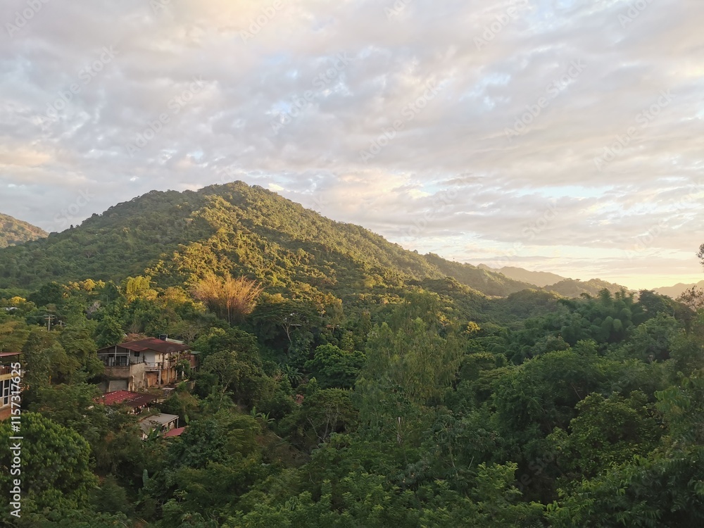 View over the landscape of hills and the jungle. View over the landscape of hills and the jungle.