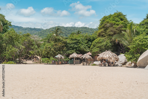 Sandy beach with green trees.