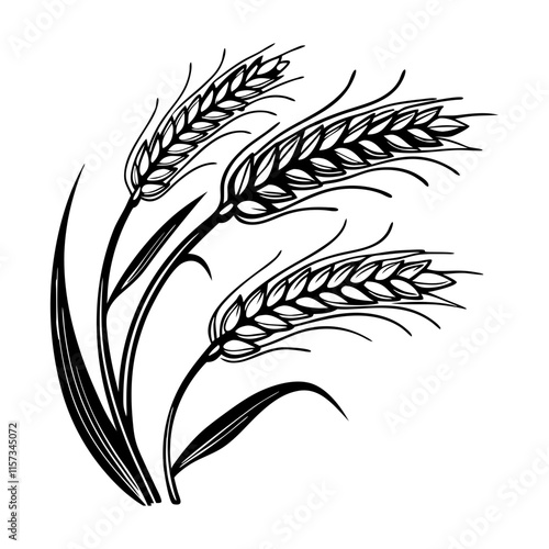wheat stalks silhouette vector illustration 