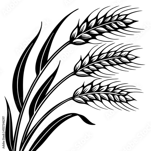 wheat stalks silhouette vector illustration 