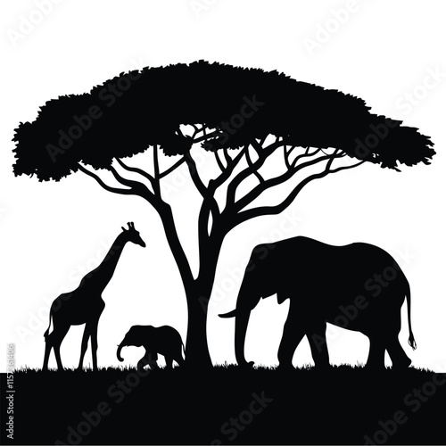 Black silhouette of animals of the African savannah. Lions give out among the trees. Landscape of wild nature.