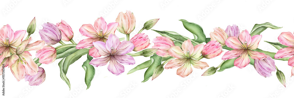 Seamless banner of Pastel pink light violet yellow bud Tulips watercolor illustration isolated on background. Hand drawn delicate spring perennial bulbous flower for spring wedding design or border Seamless banner of Pastel pink light violet yellow bud Tulips watercolor illustration isolated on background. Hand drawn delicate spring perennial bulbous flower for spring wedding design or border