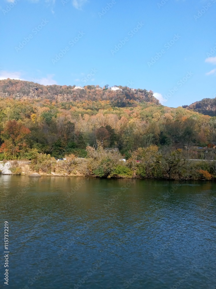 The tree-lined shore of the river. The tree-lined shore of the river.