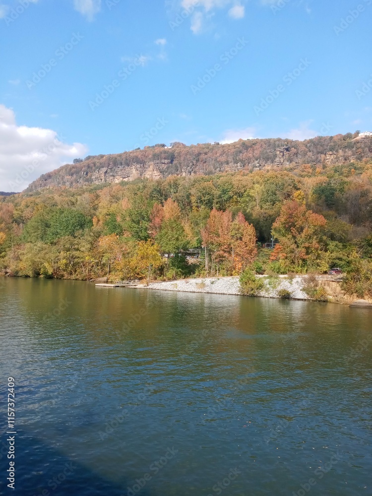 The tree-lined shore of the river. The tree-lined shore of the river.