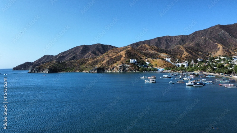 Fototapeta premium Flora y Fauna de Colombia